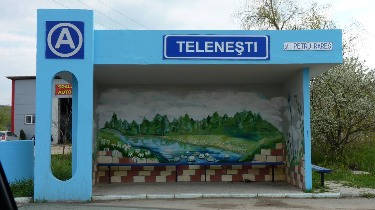 Statia pictata Telenesti