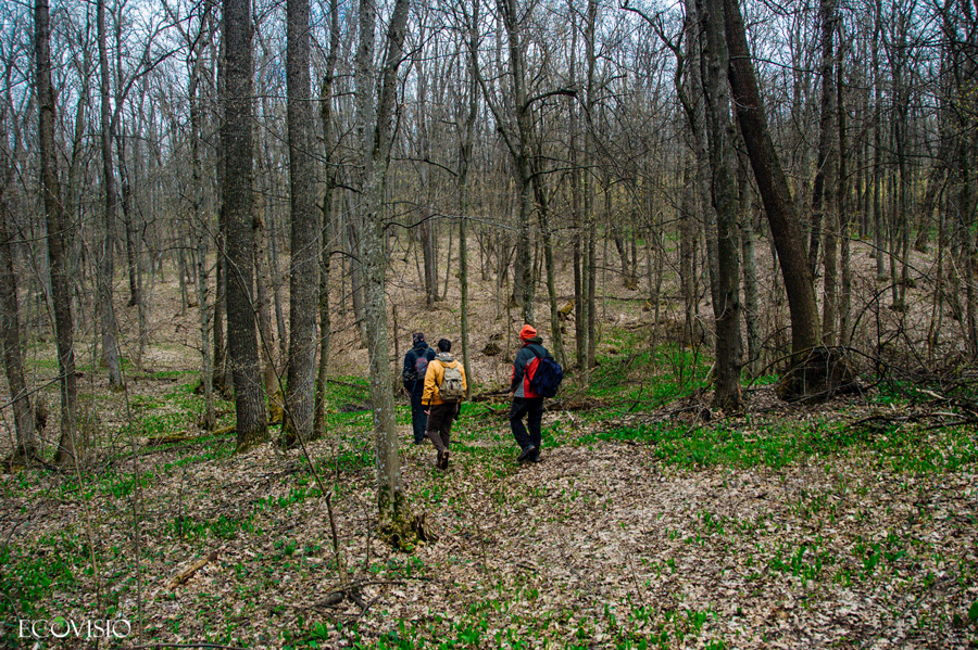 Riscova forest trail