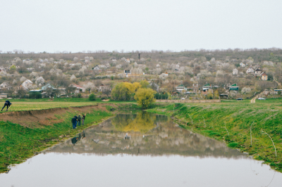 Seed It Forward Willows along river