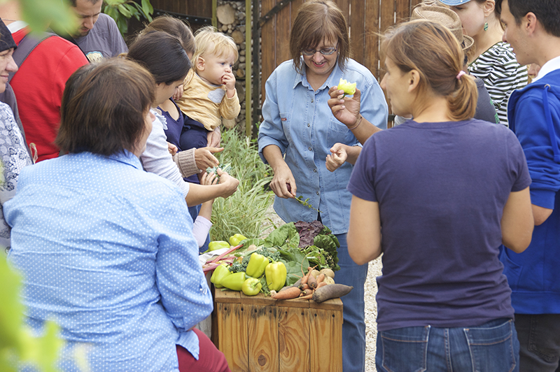 Eco Training Center Organic Gardening Workshop with Goris tomatoes 2