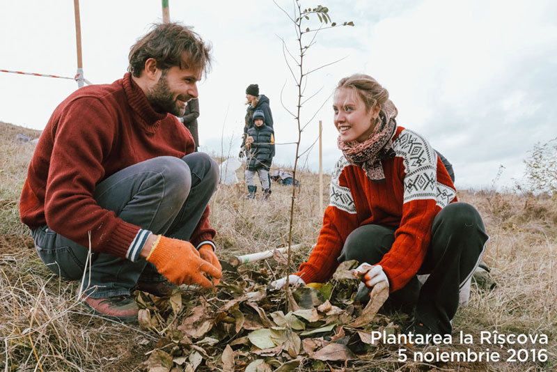 Eco Training Center Plantings in November 2016 2